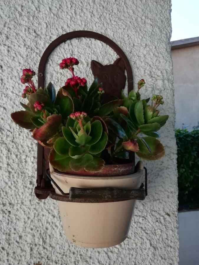 Casa Molara Daire Olbia Dış mekan fotoğraf
